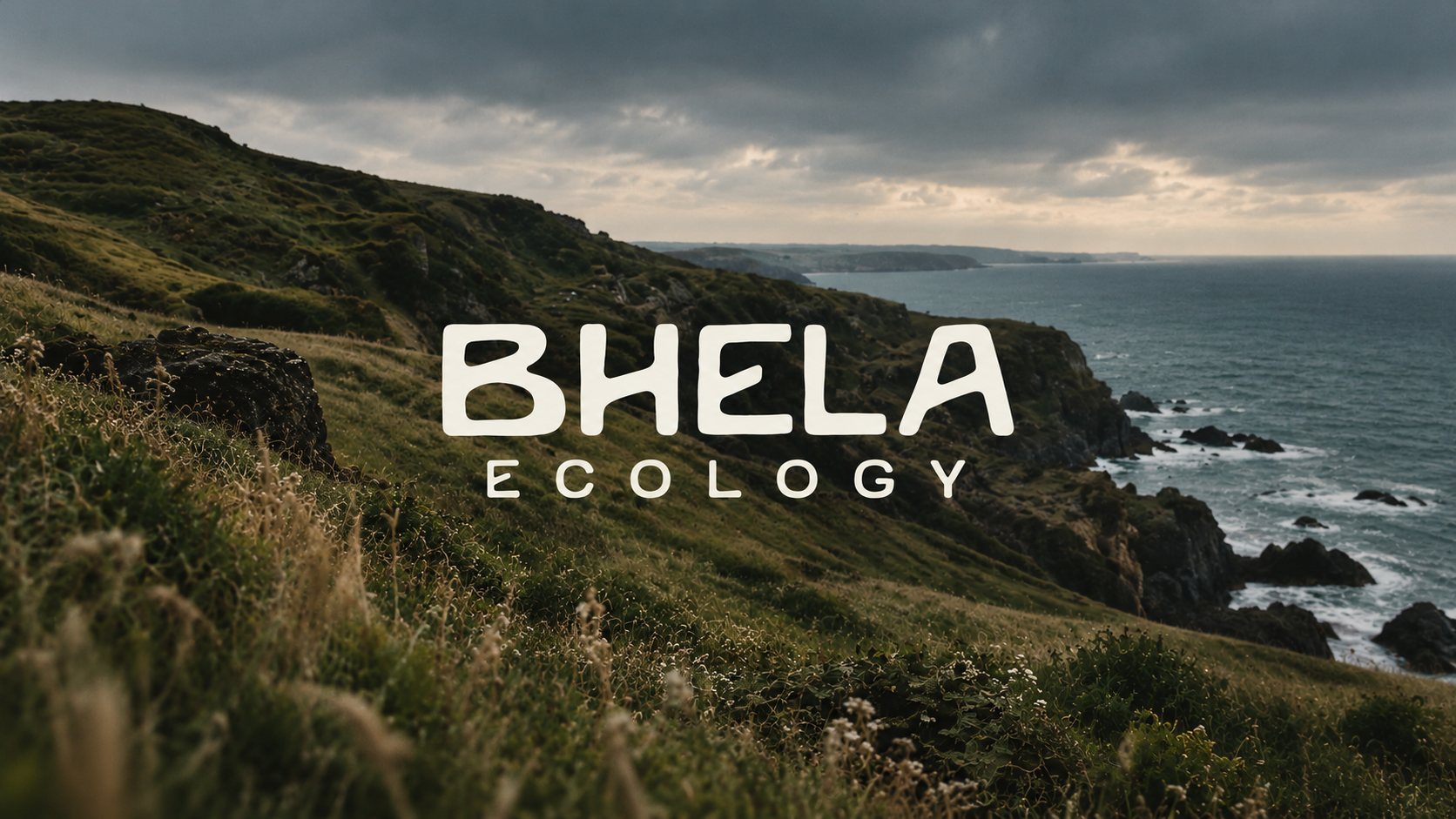 Bhela Ecology &mdash; coastal grassland above the sea under a heavy sky